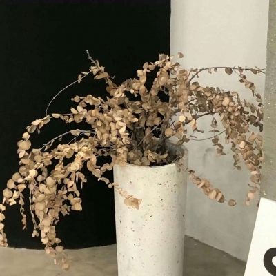 北关FurryQQ群介绍